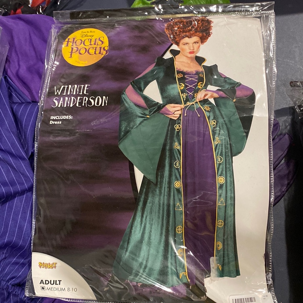 Winnie Sanderson Costume and Wig